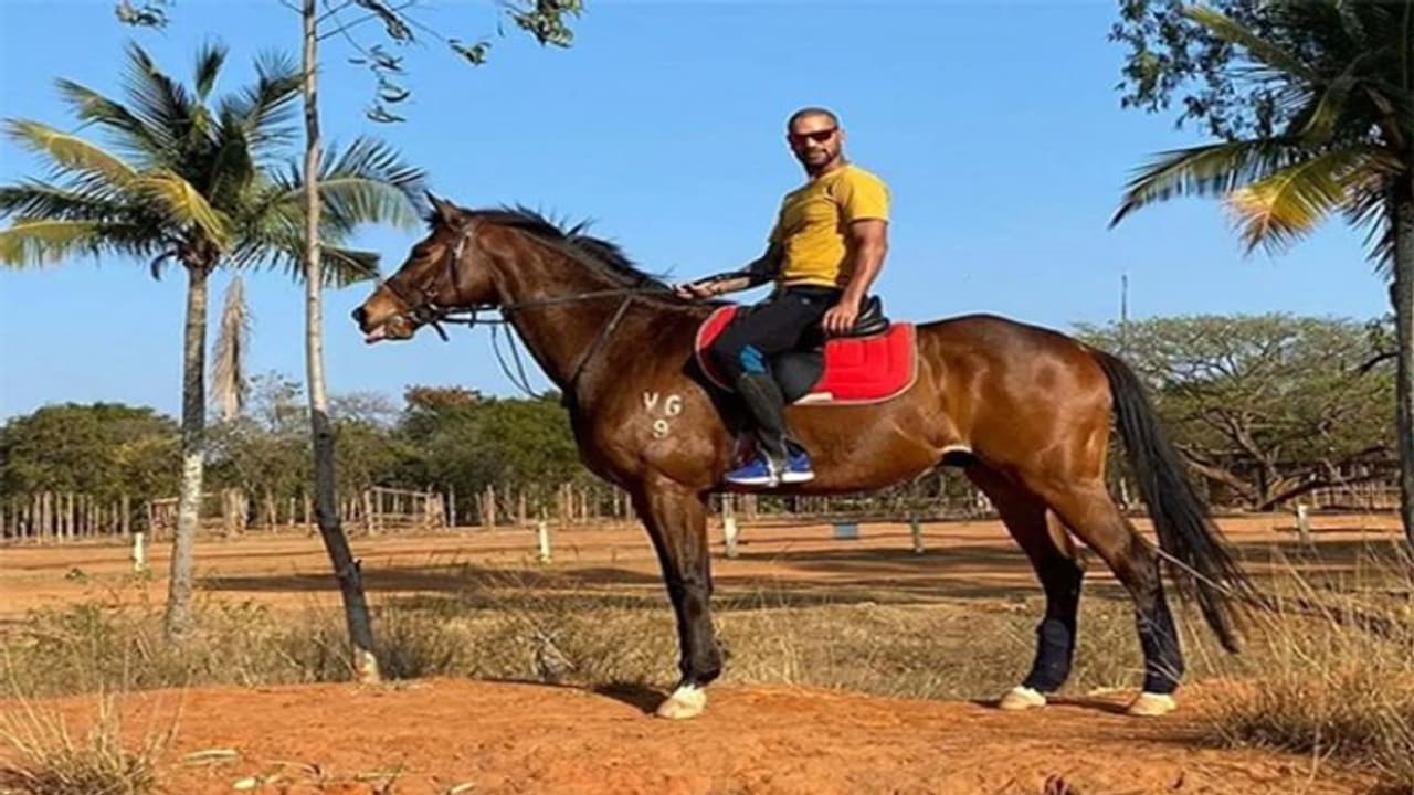 क्रिकेट मैदान से दूर घुड़सवारी करते नजर आए भारतीय टीम के 'गब्बर', जुलाई के बाद से नहीं हुई टीम में वापसी क्रिकेट मैदान से दूर घुड़सवारी करते नजर आए भारतीय टीम के 'गब्बर', जुलाई के बाद से नहीं हुई टीम में वापसी