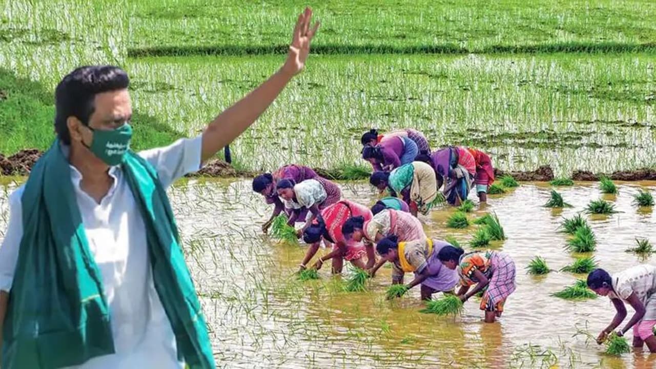 வேளாண் சட்டங்கள் வாபஸ்… மு.க.ஸ்டாலினுக்கு பாராட்டு விழா நடத்தும் டெல்டா விவசாயிகள்!! | CMStalin வேளாண் சட்டங்கள் வாபஸ்… மு.க.ஸ்டாலினுக்கு பாராட்டு விழா நடத்தும் டெல்டா விவசாயிகள்!! | CMStalin