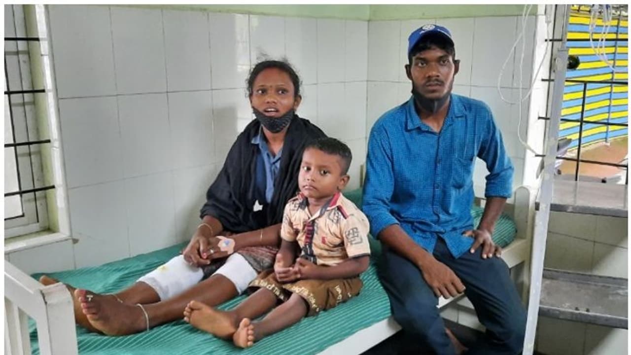 Tiger| മുള്ക്കാട്ടില് എന്തോ അനക്കം, കണ്ണെടുക്കും മുമ്പ് മുന്നില് കടുവ!; കുടുംബം രക്ഷപ്പെട്ടത് തലനാരിഴക്ക് Tiger| മുള്ക്കാട്ടില് എന്തോ അനക്കം, കണ്ണെടുക്കും മുമ്പ് മുന്നില് കടുവ!; കുടുംബം രക്ഷപ്പെട്ടത് തലനാരിഴക്ക്