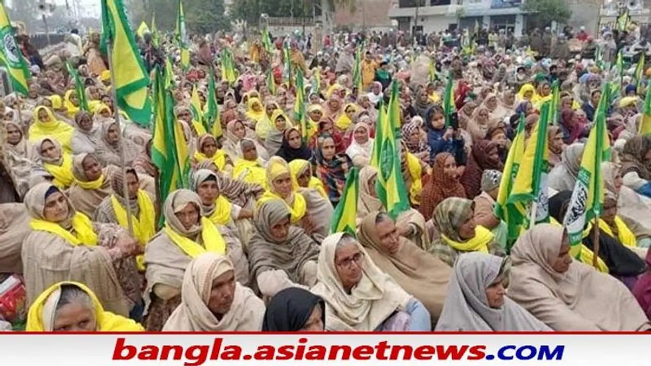 Farm Law আইন বাতিলেই মিটছে না সমস্যা, কেন ফের নতুন করে আন্দোলনের প্রস্তুতি নিচ্ছেন কৃষকরা Farm Law আইন বাতিলেই মিটছে না সমস্যা, কেন ফের নতুন করে আন্দোলনের প্রস্তুতি নিচ্ছেন কৃষকরা