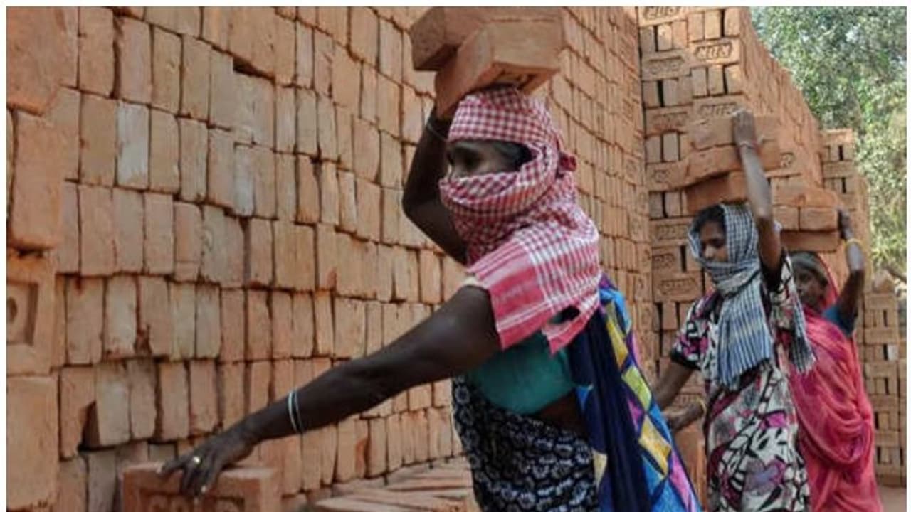 ഇ ശ്രം രജിസ്ട്രേഷൻ: ഓൺലൈൻ രജിസ്ട്രേഷൻ തീയതി ജൂലൈ 31 ലേക്ക് നീട്ടി ഇ ശ്രം രജിസ്ട്രേഷൻ: ഓൺലൈൻ രജിസ്ട്രേഷൻ തീയതി ജൂലൈ 31 ലേക്ക് നീട്ടി