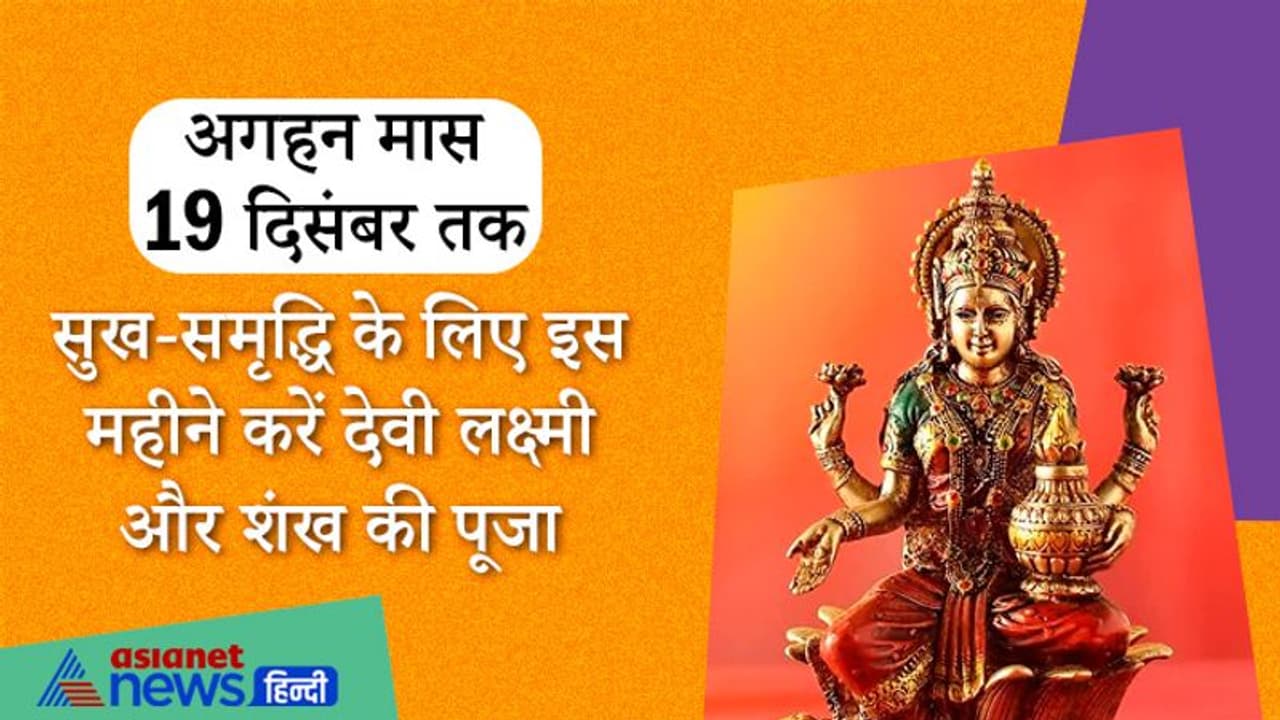 19 दिसंबर तक रहेगा अगहन मास, सुख समृद्धि के लिए इस महीने में करें देवी लक्ष्मी और शंख की पूजा 19 दिसंबर तक रहेगा अगहन मास, सुख समृद्धि के लिए इस महीने में करें देवी लक्ष्मी और शंख की पूजा
