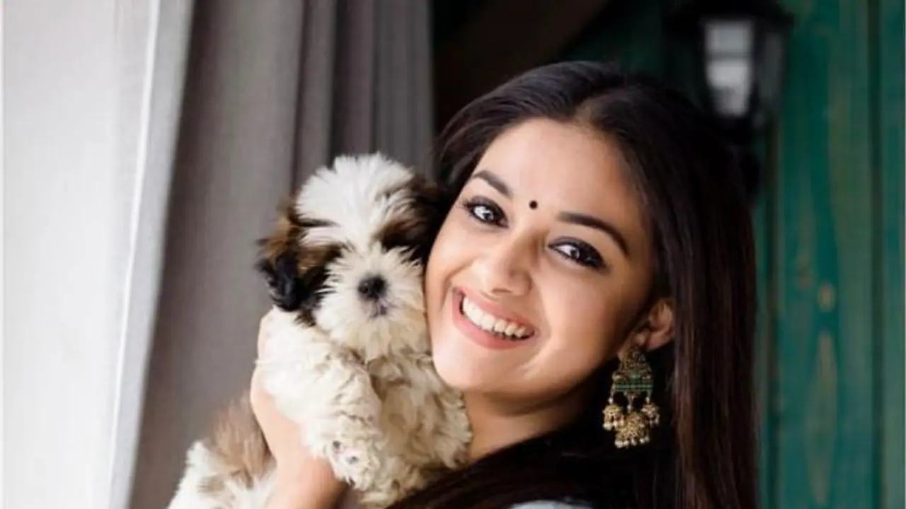 Keerthy Suresh | செல்ல பிராணியுடன் 'எனிமி' பாடலுக்கு ஆட்டம் போடும் கீர்த்தி சுரேஷ் ! வீடியோ உள்ளே... Keerthy Suresh | செல்ல பிராணியுடன் 'எனிமி' பாடலுக்கு ஆட்டம் போடும் கீர்த்தி சுரேஷ் ! வீடியோ உள்ளே...