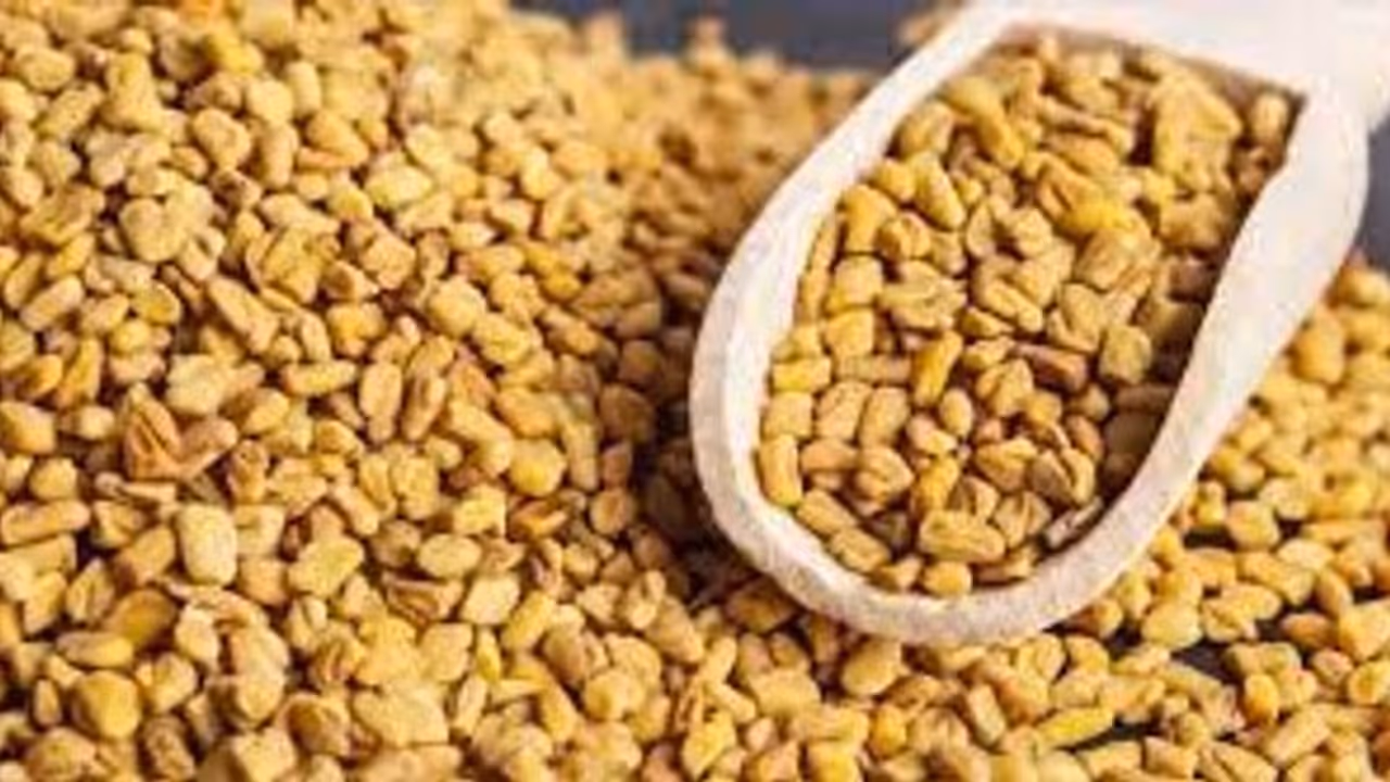 FenuGreek Tea : ഉലുവ ചായ കുടിച്ചാലുള്ള ആരോ​ഗ്യ ​ ​ഗുണങ്ങൾ അറിയാം