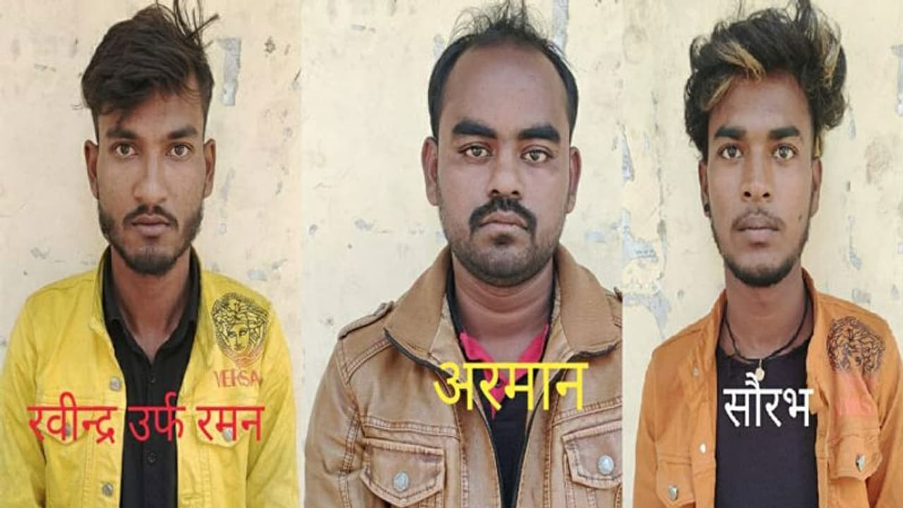 UP News: तीन कछुआ तस्करों को UP STF ने किया गिरफ्तार, 258 कछुए हुए बरामद