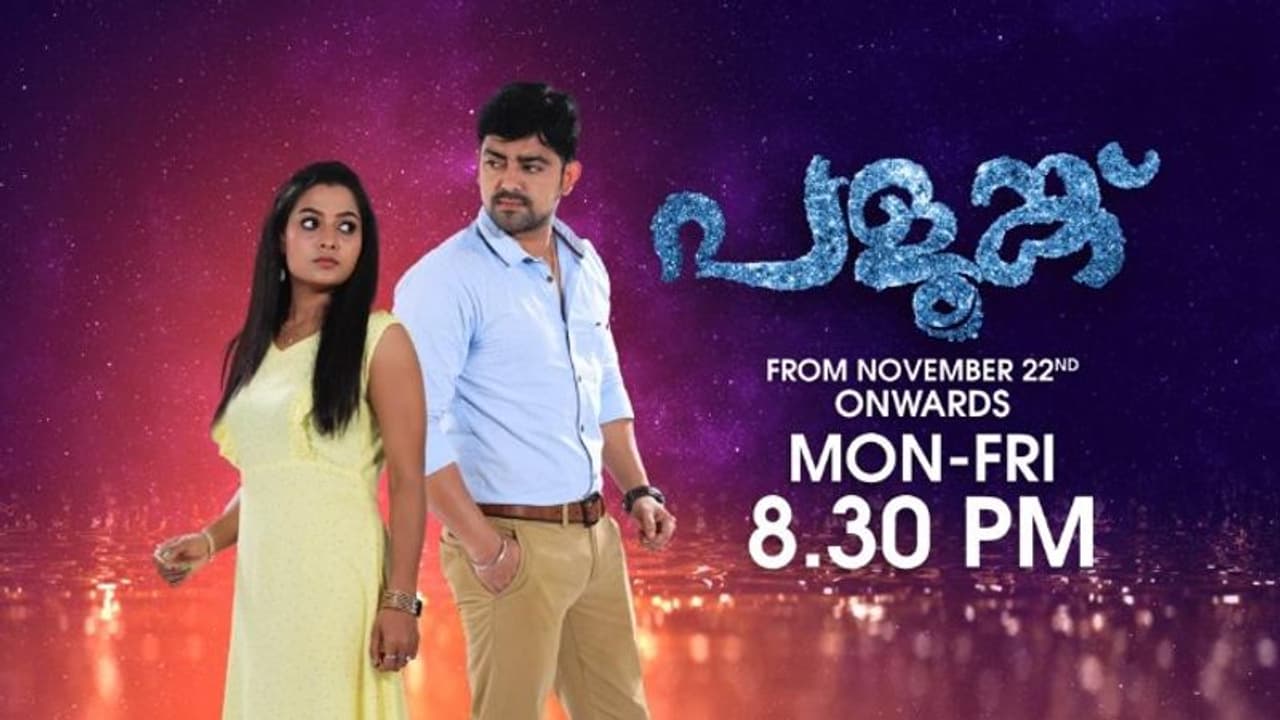 palunku serial|വൈകാരിക മുഹൂർത്തങ്ങളുമായി പുതിയ പരമ്പര; 'പളുങ്ക്' ഇന്ന് മുതൽ ഏഷ്യാനെറ്റിൽ