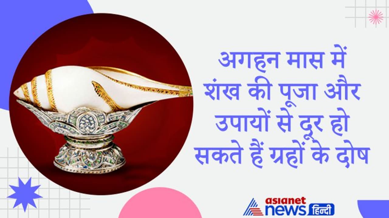 Aghan Month 2021: अगहन मास में करें शंख की पूजा और ये उपाय, दूर होंगे ग्रहों के दोष और पूरी होगी मनोकामना Aghan Month 2021: अगहन मास में करें शंख की पूजा और ये उपाय, दूर होंगे ग्रहों के दोष और पूरी होगी मनोकामना