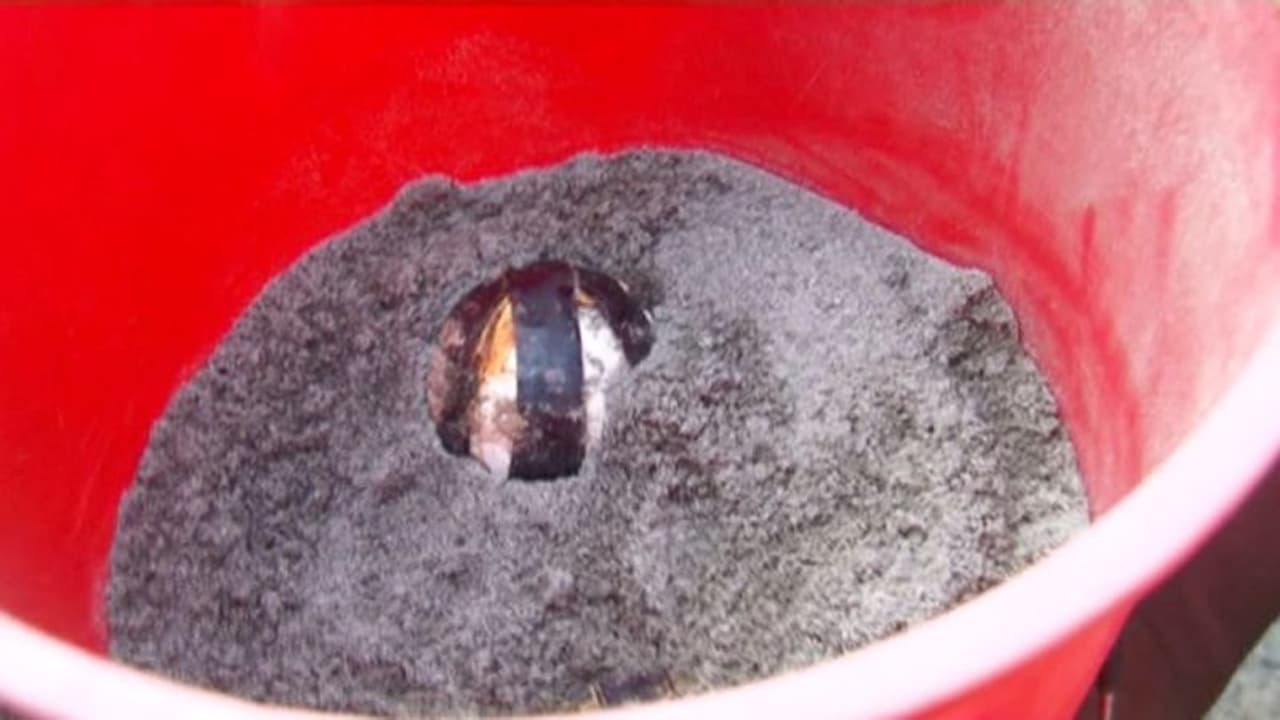 ധർമടത്ത് ഐസ്ക്രീം ബോംബ് പൊട്ടിത്തെറിച്ച സംഭവം: മൂന്ന് ബോംബുകൾ കൂടി കണ്ടെടുത്തു ധർമടത്ത് ഐസ്ക്രീം ബോംബ് പൊട്ടിത്തെറിച്ച സംഭവം: മൂന്ന് ബോംബുകൾ കൂടി കണ്ടെടുത്തു