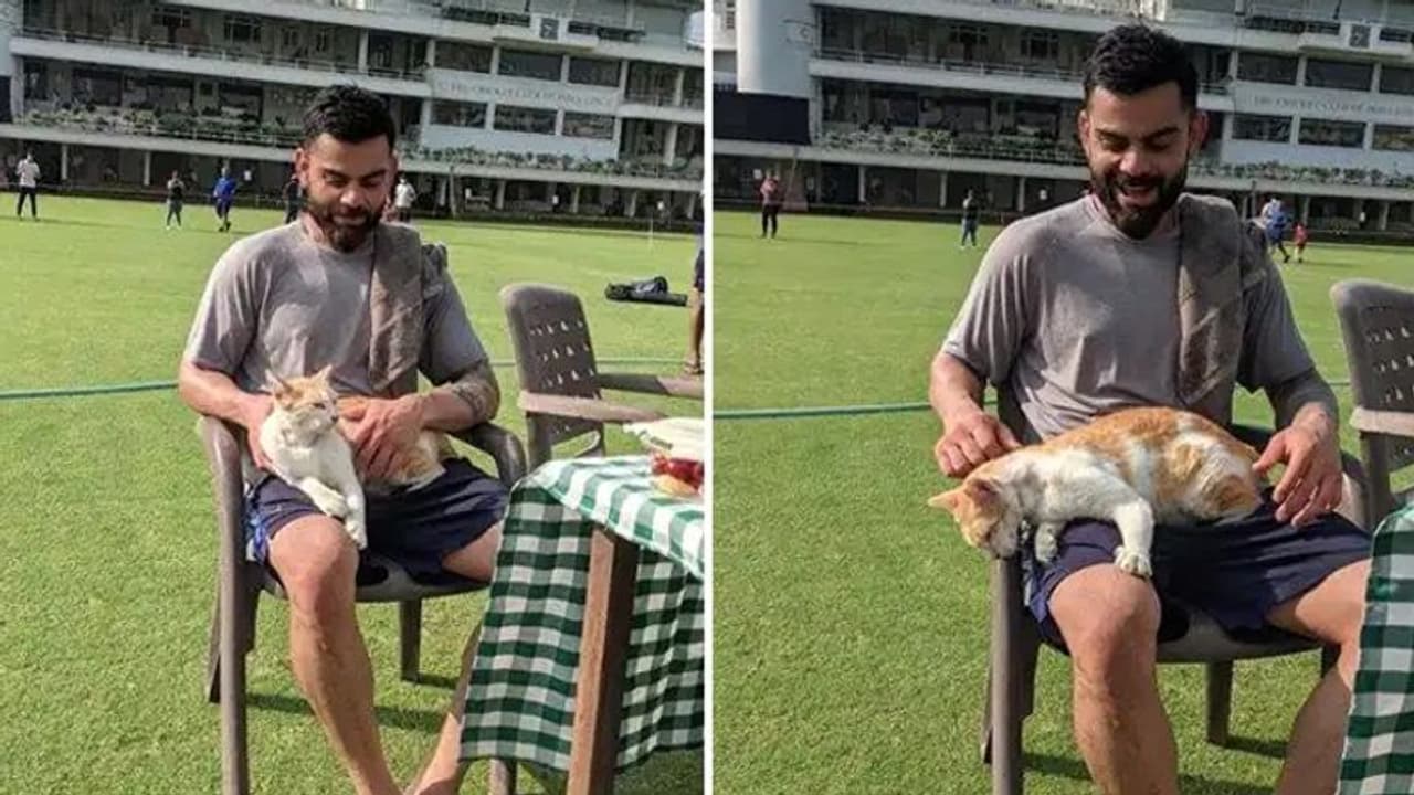 प्रैक्टिस के दौरान Virat Kohli से मिलने पहुंची ये क्यूट मेहमान, वाइफ Anushka Sharma ने दिया ऐसा रिएक्शन प्रैक्टिस के दौरान Virat Kohli से मिलने पहुंची ये क्यूट मेहमान, वाइफ Anushka Sharma ने दिया ऐसा रिएक्शन