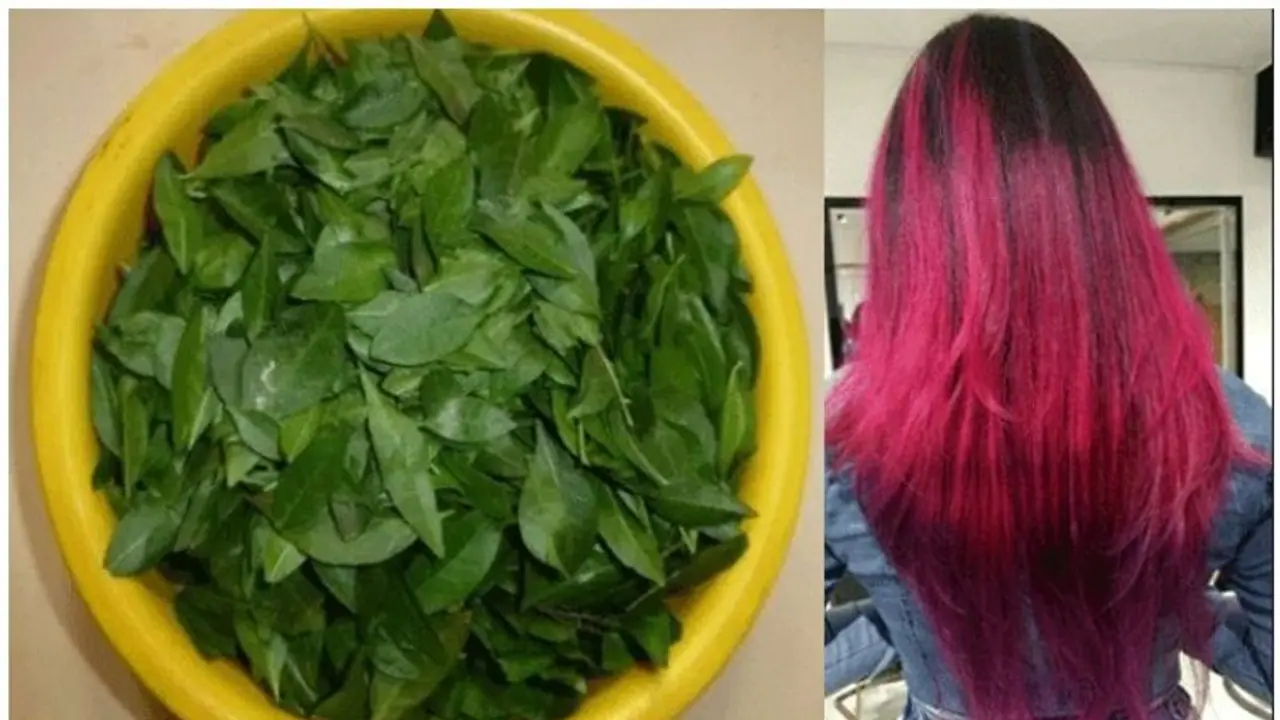 ব্রাউন থেকে বার্গেন্ডি হেনা ব্যবহার করেই মিলবে পছন্দমত হেয়ার কালার, জেনে নিন কি কি মেশাবেন ব্রাউন থেকে বার্গেন্ডি হেনা ব্যবহার করেই মিলবে পছন্দমত হেয়ার কালার, জেনে নিন কি কি মেশাবেন