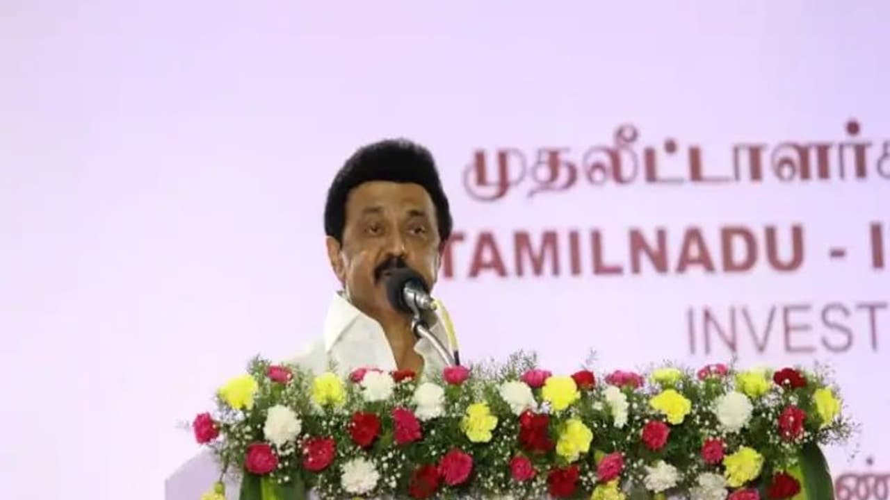 பேண்ட்டிற்குள் பட்டா கத்தி, ரவுடிகள் சகஜமாக உலா .. என்ன நடக்கிறது திமுக ஆட்சியில்..! பேண்ட்டிற்குள் பட்டா கத்தி, ரவுடிகள் சகஜமாக உலா .. என்ன நடக்கிறது திமுக ஆட்சியில்..!