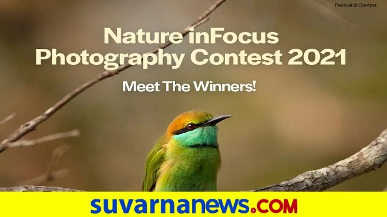 Nature In Focus: 2021ರ ಫೋಟೋಗ್ರಫಿ ಮತ್ತು ಫಿಲ್ಮ್ ಸ್ಪರ್ಧೆ ಫಲಿತಾಂಶ ಪ್ರಕಟ Nature In Focus: 2021ರ ಫೋಟೋಗ್ರಫಿ ಮತ್ತು ಫಿಲ್ಮ್ ಸ್ಪರ್ಧೆ ಫಲಿತಾಂಶ ಪ್ರಕಟ