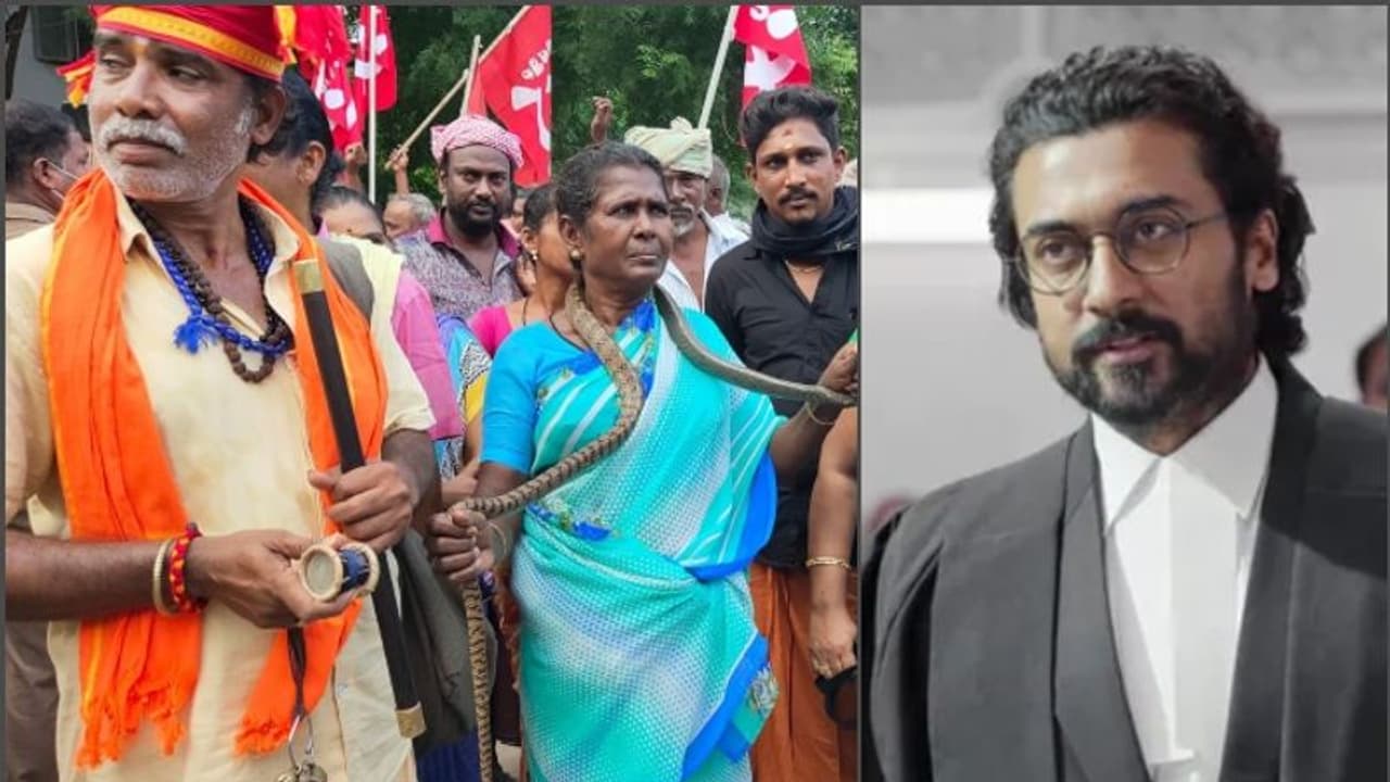 Jai Bhim : കൈയില് പാമ്പും എലികളും; സൂര്യയ്ക്ക് ഐക്യദാര്ഢ്യവുമായി ഗോത്രവിഭാഗങ്ങളുടെ പ്രകടനം Jai Bhim : കൈയില് പാമ്പും എലികളും; സൂര്യയ്ക്ക് ഐക്യദാര്ഢ്യവുമായി ഗോത്രവിഭാഗങ്ങളുടെ പ്രകടനം