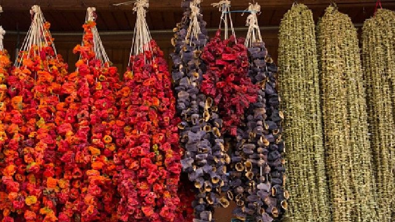 ফুলে ফুলেই ফিরবে ভাগ্য সুখের হবে জীবন, জেনে নিন কোন দিন কোন ফুল সঙ্গে রাখবেন ফুলে ফুলেই ফিরবে ভাগ্য সুখের হবে জীবন, জেনে নিন কোন দিন কোন ফুল সঙ্গে রাখবেন