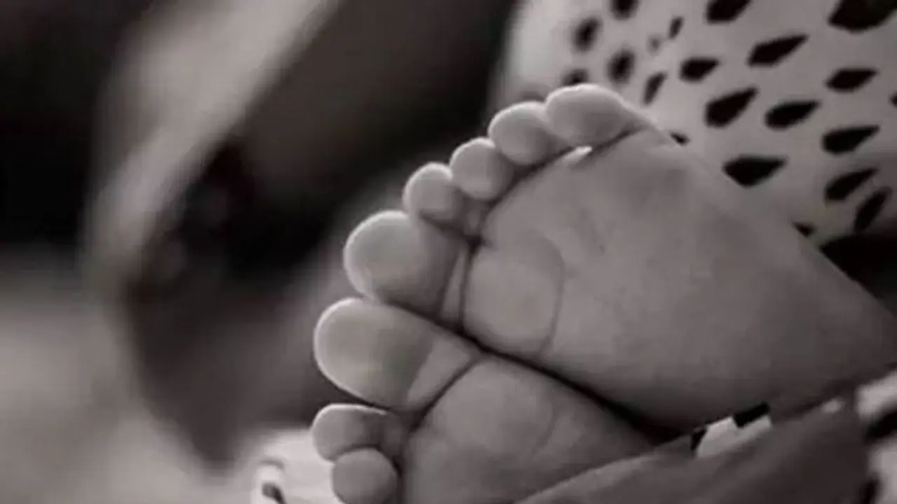 Infant Death: അട്ടപ്പാടിയിൽ വീണ്ടും ശിശുമരണം