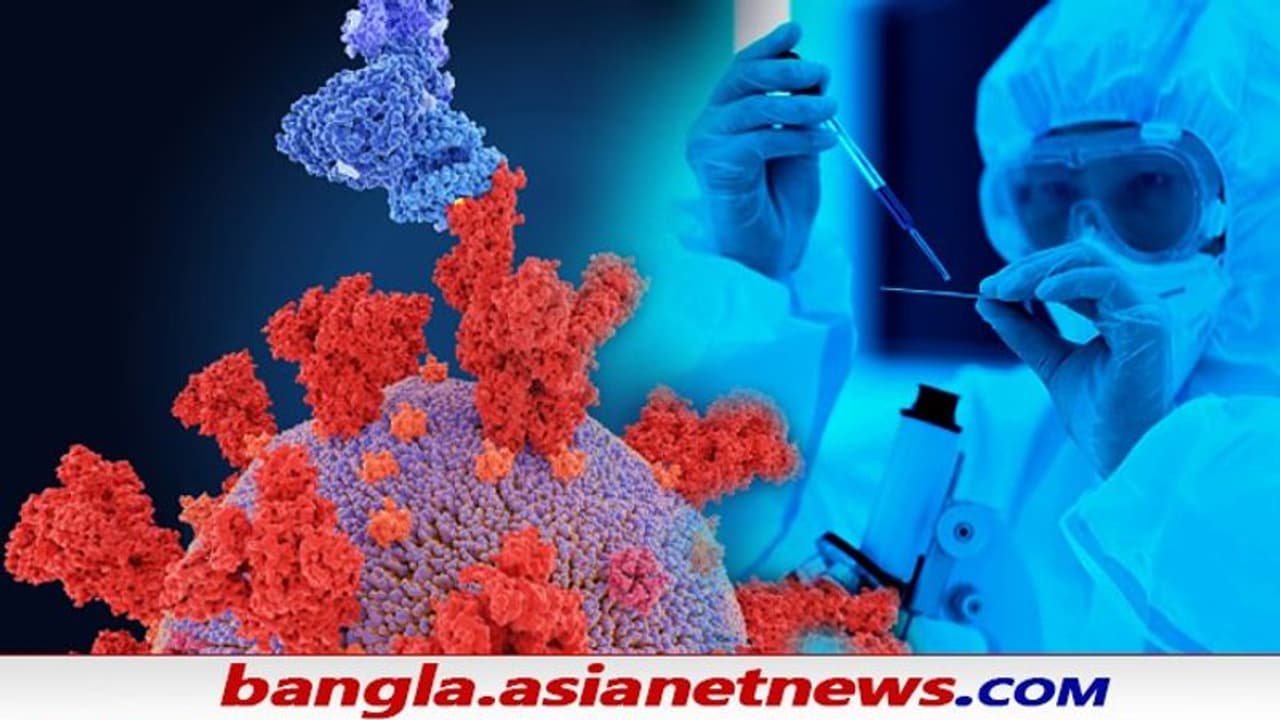 New Covid Variant: মহামারি মুক্তির আশার আলোয় নতুন মেঘ, মিলল টিকা প্রতিরোধী করোনা ভেরিয়েন্ট