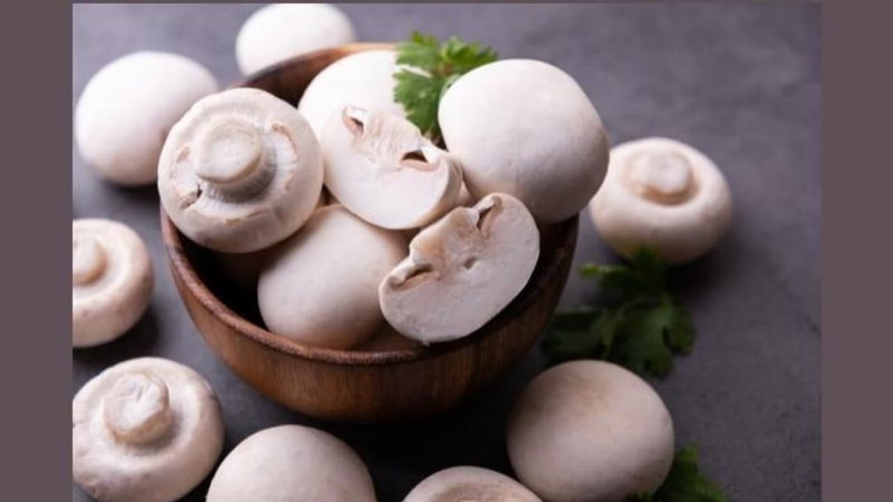 Health Benefits: सेहत के लिहाज से मशरूम है काफी फायदेमंद, जानिए इसके सेवन से कौन सी बीमारियां होती है दूर Health Benefits: सेहत के लिहाज से मशरूम है काफी फायदेमंद, जानिए इसके सेवन से कौन सी बीमारियां होती है दूर
