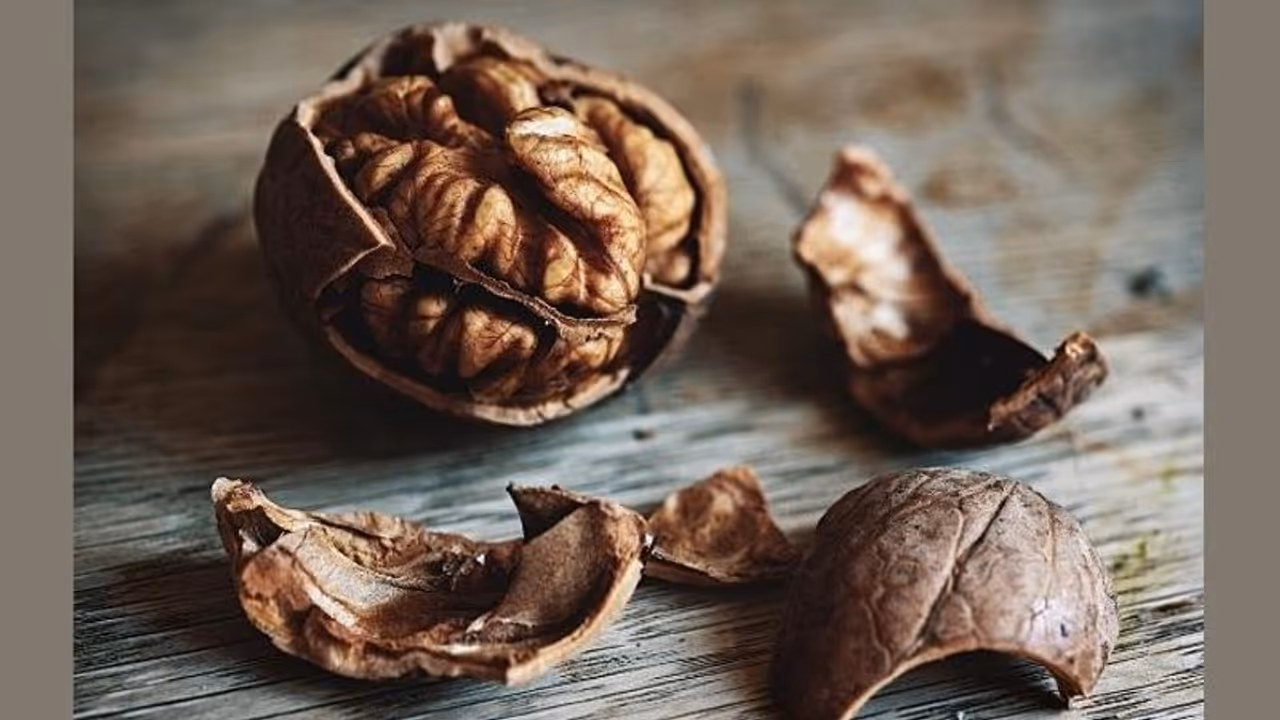 Health Benefits: आपको रखना है अपनी हेल्थ का ध्यान, तो जल्द डाइट में शामिल करें भीगे अखरोट, जानें फायदे Health Benefits: आपको रखना है अपनी हेल्थ का ध्यान, तो जल्द डाइट में शामिल करें भीगे अखरोट, जानें फायदे