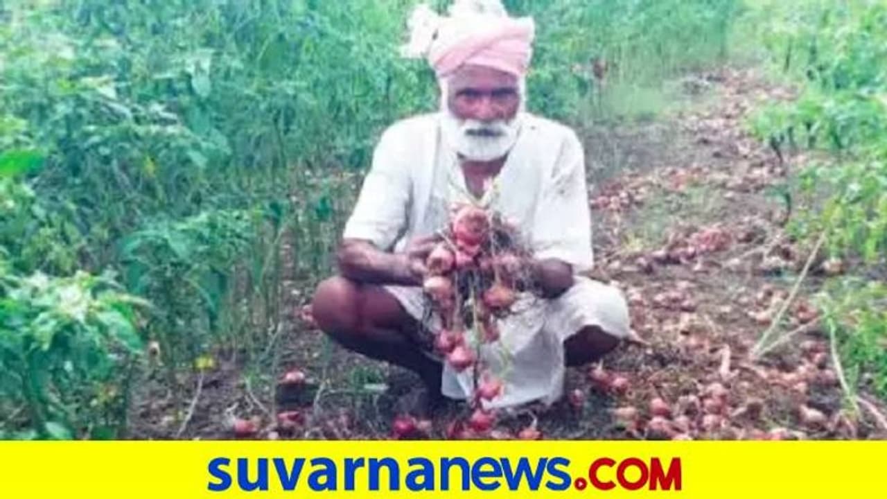 Karnataka Rains: ನಿರಂತರ ಮಳೆಗೆ ಕೊಳೆತ ಈರುಳ್ಳಿ: ಕಂಗಾಲಾದ ಅನ್ನದಾತ..!