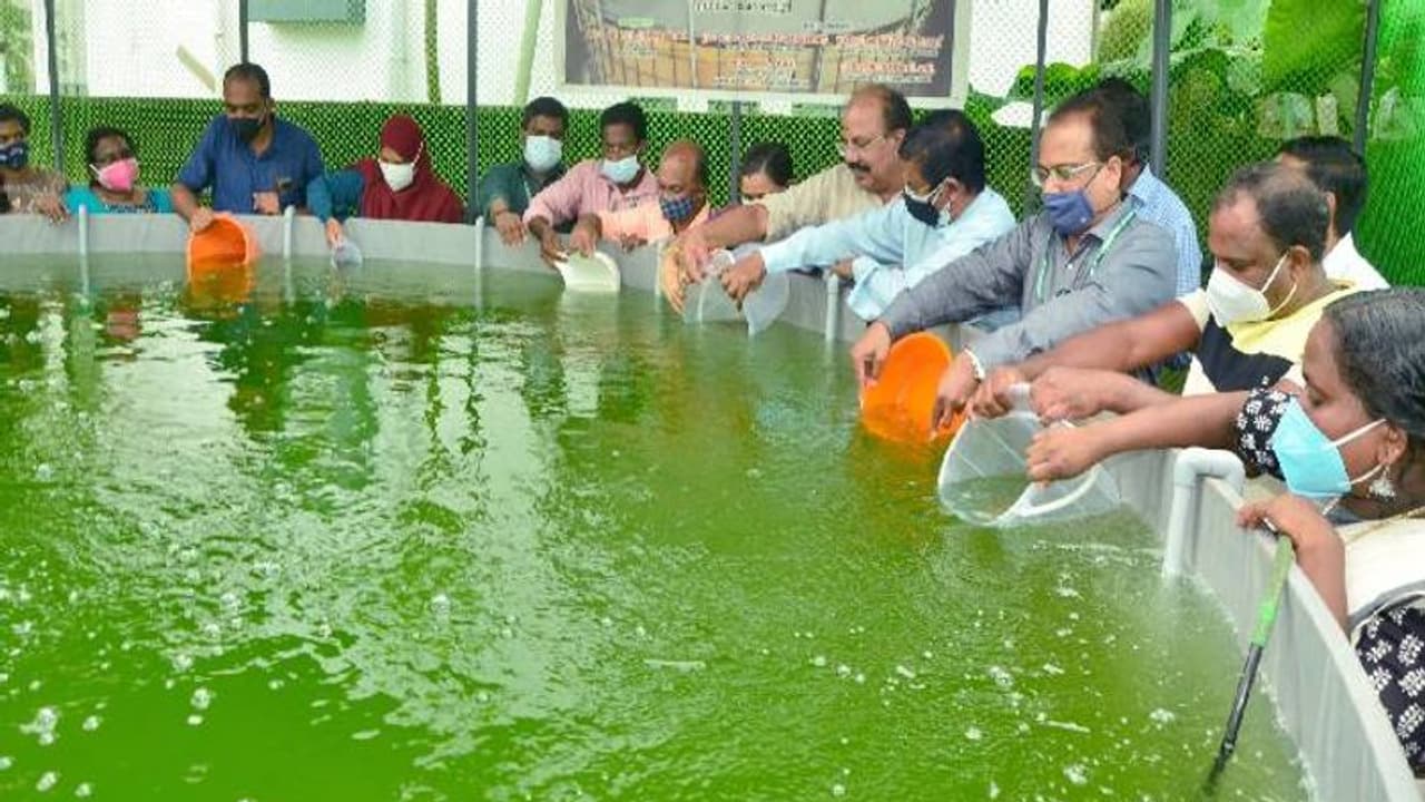 23,500 ലിറ്റർ ജലസംഭരണിയിൽ നൂതന മത്സ്യകൃഷി; എട്ടുമാസം കൊണ്ട് ചുരുങ്ങിയത് 1.35 ലക്ഷം വരുമാനം നേടുക ലക്ഷ്യം 23,500 ലിറ്റർ ജലസംഭരണിയിൽ നൂതന മത്സ്യകൃഷി; എട്ടുമാസം കൊണ്ട് ചുരുങ്ങിയത് 1.35 ലക്ഷം വരുമാനം നേടുക ലക്ഷ്യം