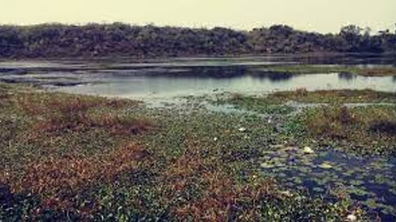 Belagavi: ಇಬ್ಬರು ಮಕ್ಕಳೊಂದಿಗೆ ಕೆರೆಗೆ ಹಾರಿ ಪ್ರಾಣಬಿಟ್ಟ ತಾಯಿ: ಕಾರಣ?