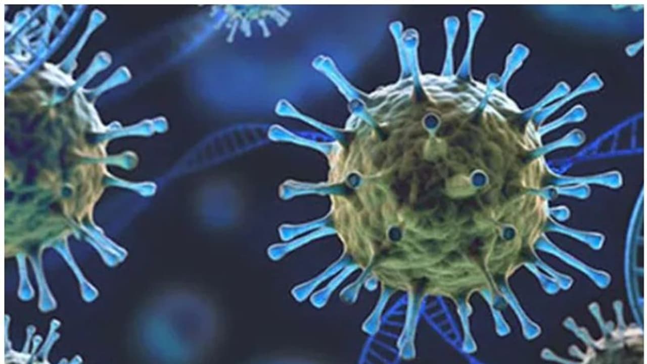 Omicron variant: Centre issues revised guidelines for arrivals from 12 nations in 'at risk' category