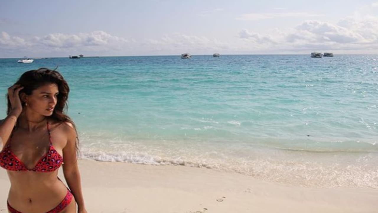 Instagram: दिशा पाटनी ने बिकिनी फोटो पोस्ट कर बढ़ाया पारा Instagram: दिशा पाटनी ने बिकिनी फोटो पोस्ट कर बढ़ाया पारा