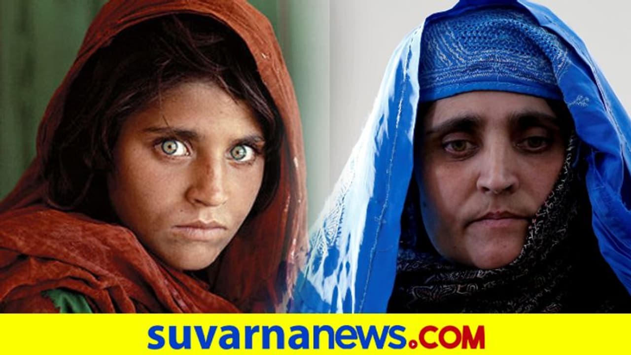 ಅಫ್ಘಾನ್ನ ಹಸಿರು ಕಣ್ಣಿನ ಸುಂದರಿ ಇಟಲಿಗೆ ಸ್ಥಳಾಂತರ ಅಫ್ಘಾನ್ನ ಹಸಿರು ಕಣ್ಣಿನ ಸುಂದರಿ ಇಟಲಿಗೆ ಸ್ಥಳಾಂತರ