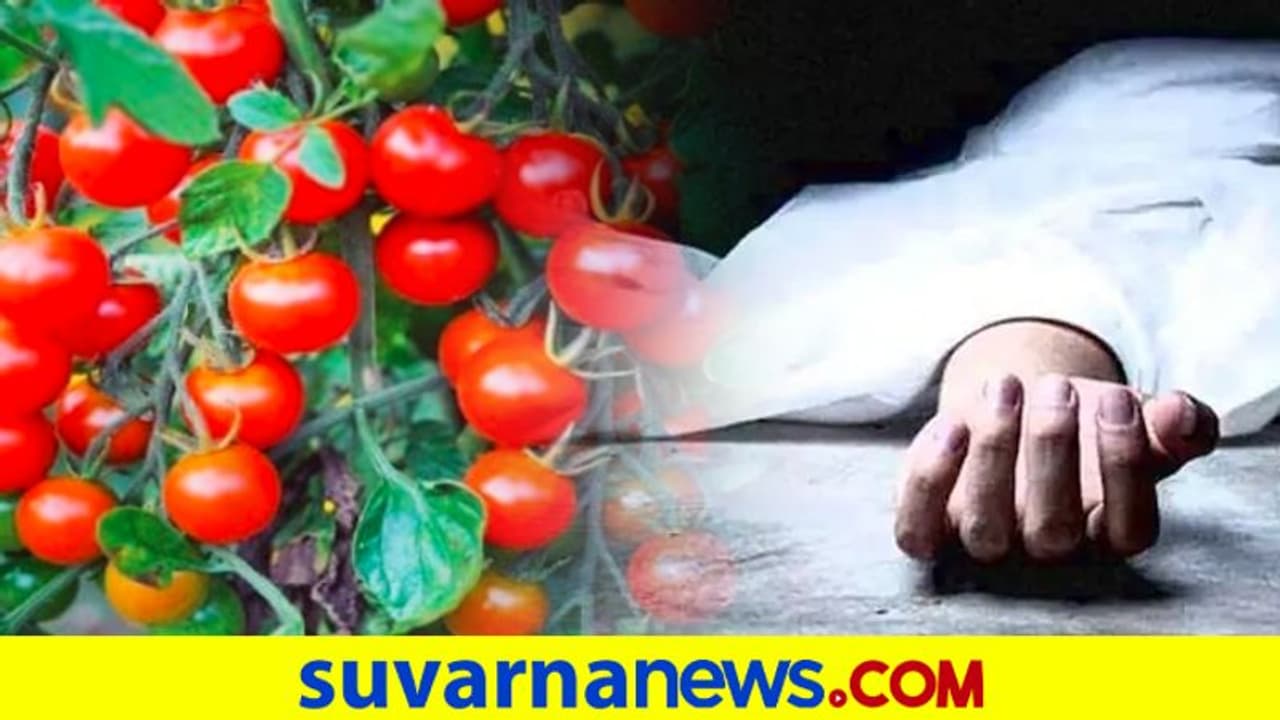 Tomato Price Rises: ಟೊಮೇಟೊಗೆ ಇಬ್ಬರು ಬಲಿ Tomato Price Rises: ಟೊಮೇಟೊಗೆ ಇಬ್ಬರು ಬಲಿ