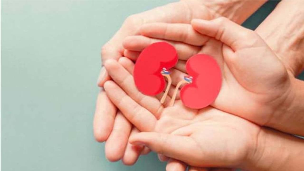 Organ Donation : മസ്തിഷ്‌ക മരണം സ്ഥിരീകരിച്ചു; അഞ്ച് വയസുകാരിയുടെ അവയവങ്ങള്‍ സ്വീകരിച്ചത് നാല് പേര്‍