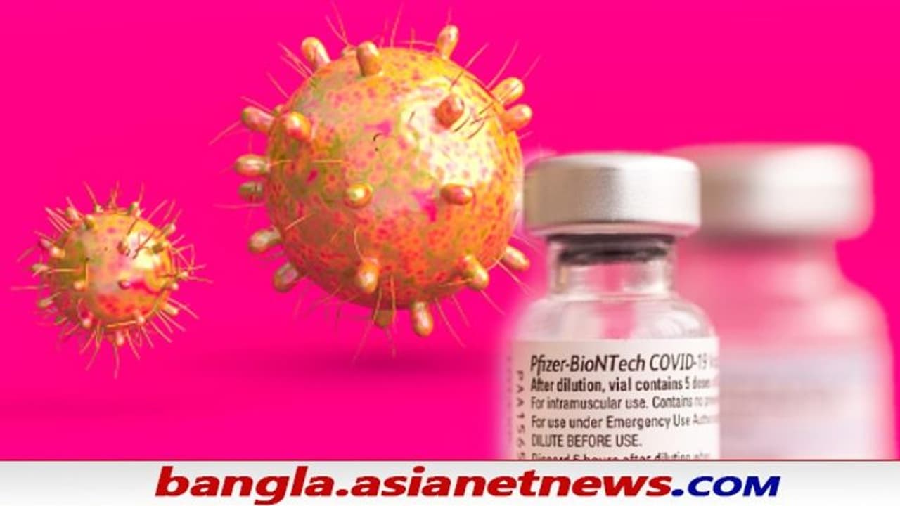 Omicron Variant: টিকা কি কাজ করবে ওমিক্রনের বিরুদ্ধে, বড় বিবৃতি ফাইজার বায়োএনটেকের Omicron Variant: টিকা কি কাজ করবে ওমিক্রনের বিরুদ্ধে, বড় বিবৃতি ফাইজার বায়োএনটেকের
