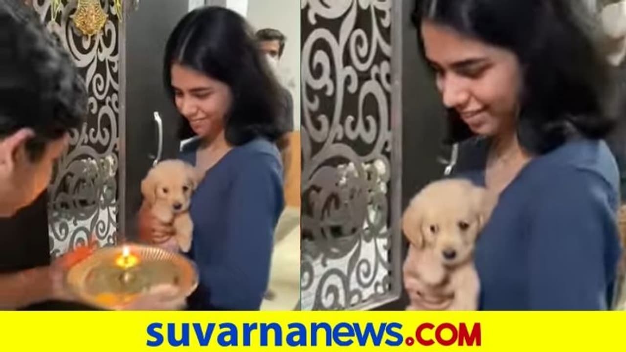 Puppy Viral Video: ಪುಟ್ಟ ನಾಯಿಗೆ ದೇಸಿ ಸ್ಟೈಲ್ ಸ್ವಾಗತ Puppy Viral Video: ಪುಟ್ಟ ನಾಯಿಗೆ ದೇಸಿ ಸ್ಟೈಲ್ ಸ್ವಾಗತ