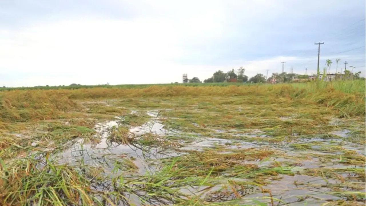 Karnataka Flood Effect : ‘ರೈತ್ರು ಭಿಕ್ಷುಕರಲ್ರಿ, ನಿಮ್ಮ ಪರಿಹಾರ ಕೂಲಿಗೂ ಸಾಲಲ್ಲ’