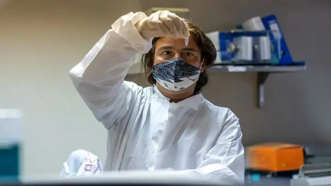 Omicron Variant: ಒಮಿಕ್ರೋನ್‌, ಇಲ್ಲಿಯೂ ಒಂದು ಶುಭ ಸುದ್ದಿ ಇದೆ!