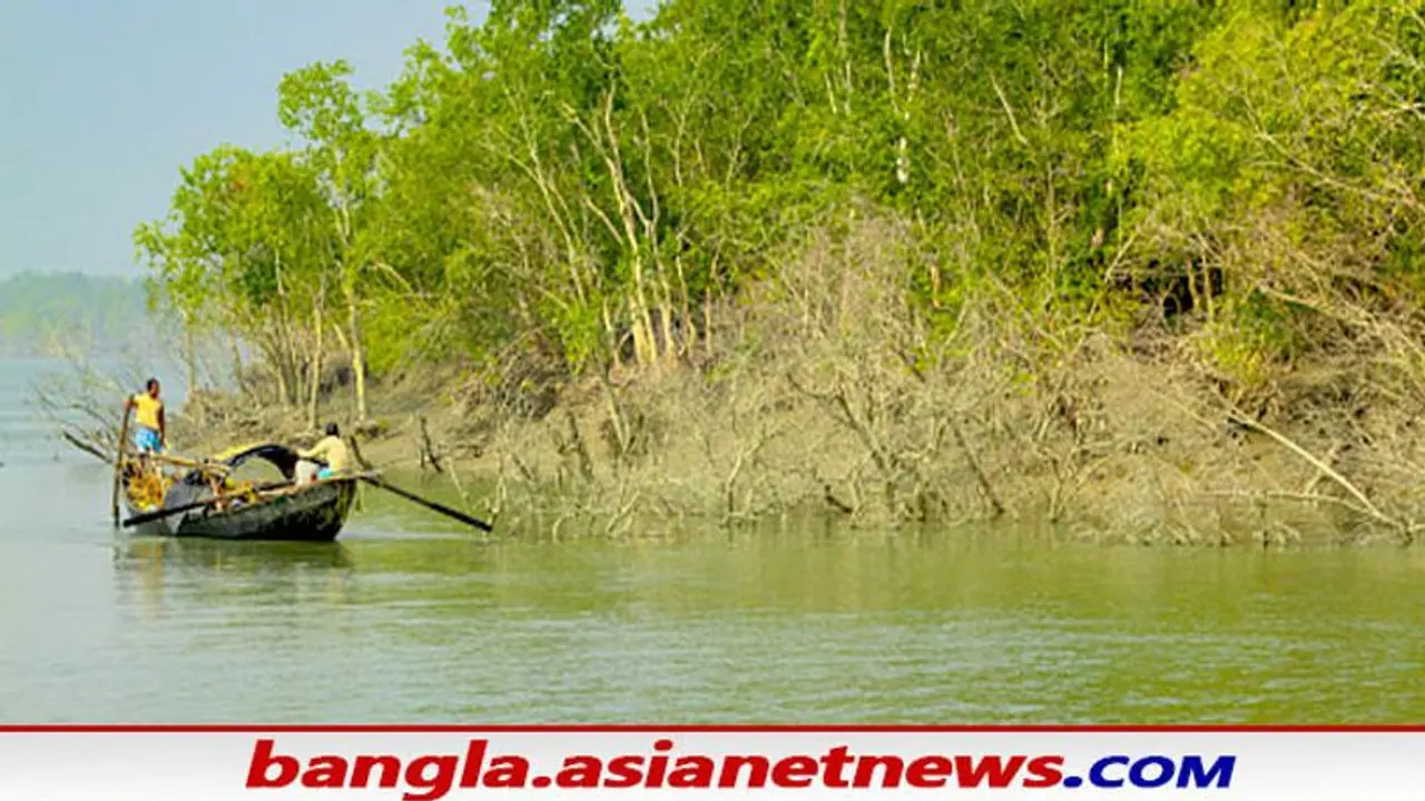Gosaba tiger attack: বাঘের হানায় গুরুতর জখম মৎস্যজীবী, পাঠানো হল চিত্তরঞ্জন মেডিকেল কলেজে Gosaba tiger attack: বাঘের হানায় গুরুতর জখম মৎস্যজীবী, পাঠানো হল চিত্তরঞ্জন মেডিকেল কলেজে