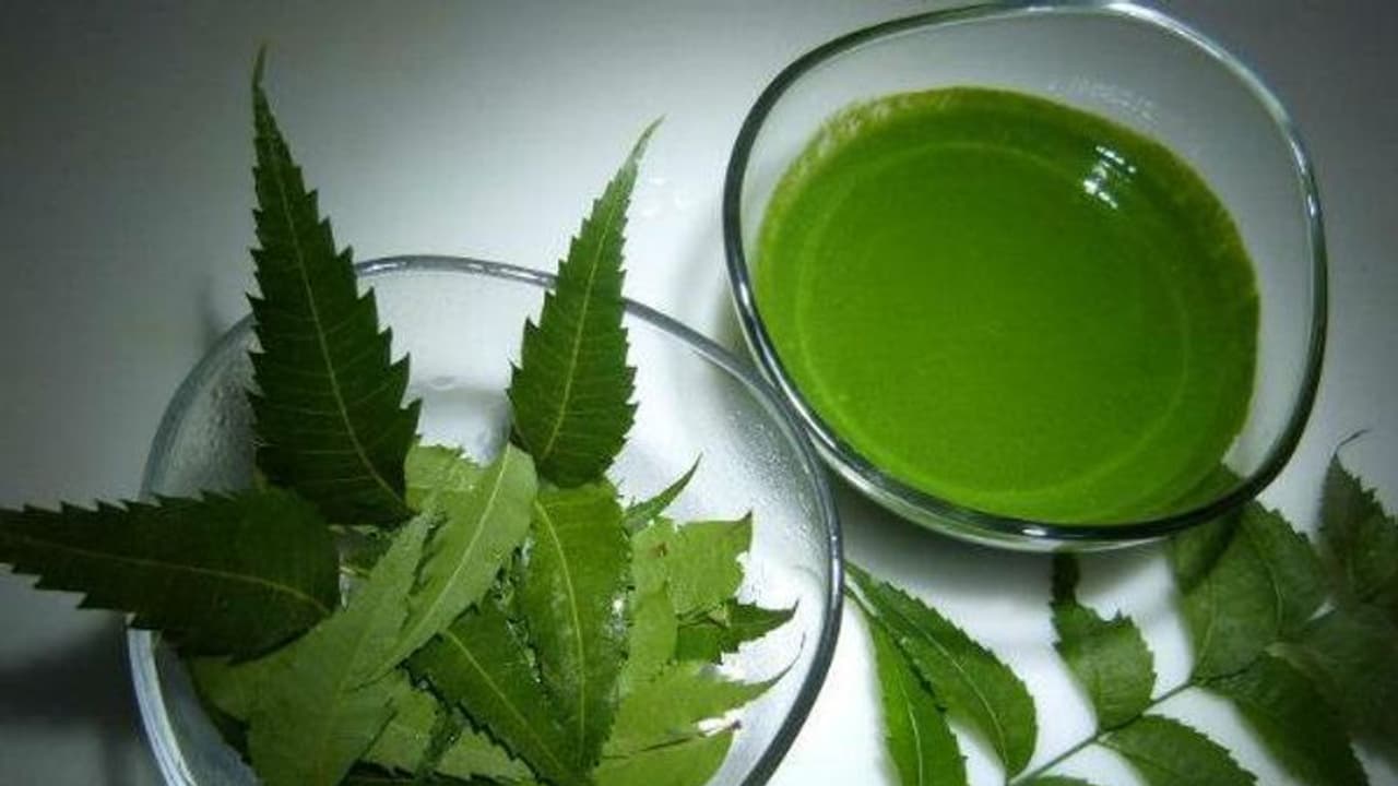 Skin Glow: चेहरे पर ट्राई करें इन पत्तियों के फेस पैक से दूर करें स्किन की ये समस्याएं, जानें बनाने का तरीका Skin Glow: चेहरे पर ट्राई करें इन पत्तियों के फेस पैक से दूर करें स्किन की ये समस्याएं, जानें बनाने का तरीका