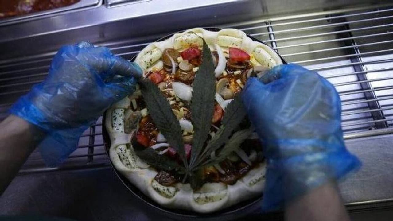 കഞ്ചാവ് ചേർത്ത 'ക്രേസി ഹാപ്പി പിസ' വിൽപനയ്ക്ക്, കഴിക്കുന്നവർ 'ഹൈ' ആകുമോ? കഞ്ചാവ് ചേർത്ത 'ക്രേസി ഹാപ്പി പിസ' വിൽപനയ്ക്ക്, കഴിക്കുന്നവർ 'ഹൈ' ആകുമോ?