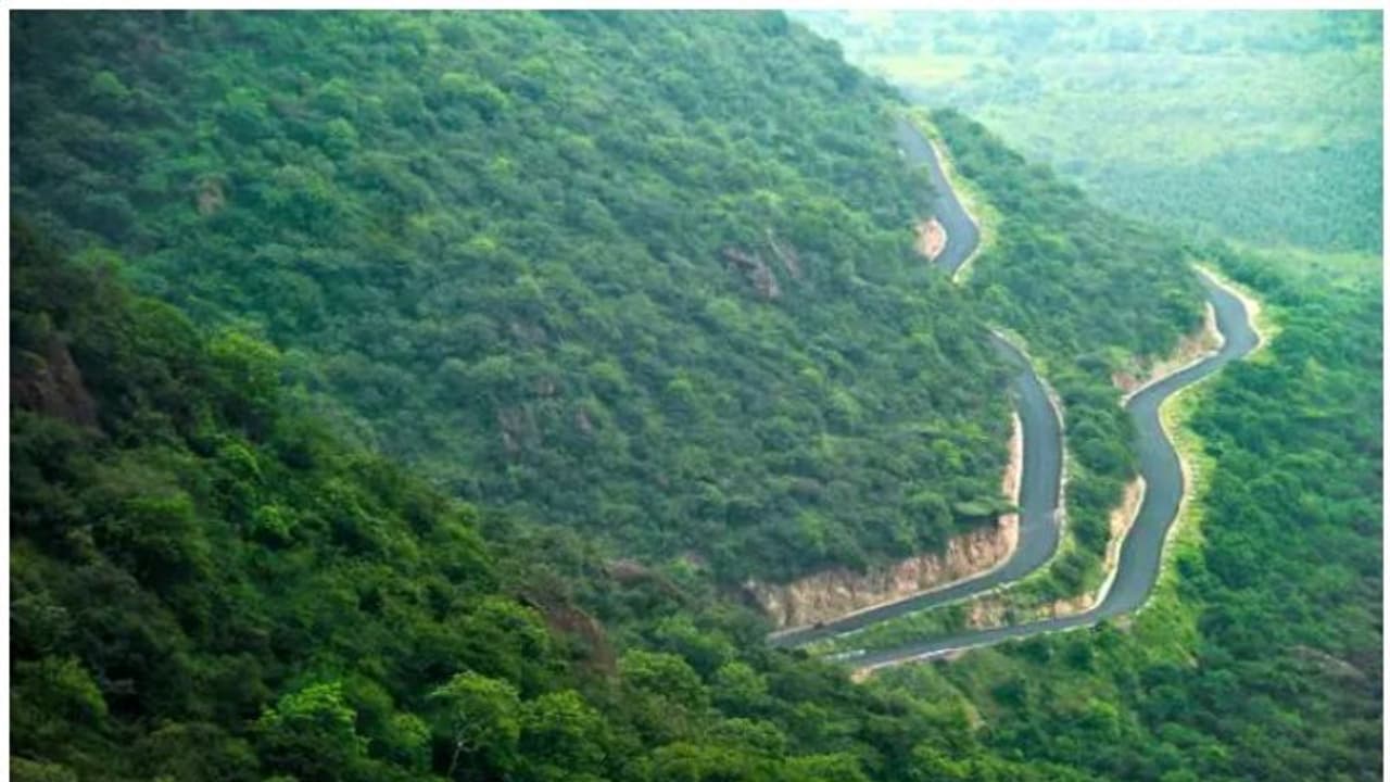 ஒரு வருஷத்துக்கு மலைப் பகுதிகளில் பணி... ஆசிரியர்களுக்கு ஷாக் கொடுத்த பள்ளிக்கல்வித்துறை!! ஒரு வருஷத்துக்கு மலைப் பகுதிகளில் பணி... ஆசிரியர்களுக்கு ஷாக் கொடுத்த பள்ளிக்கல்வித்துறை!!