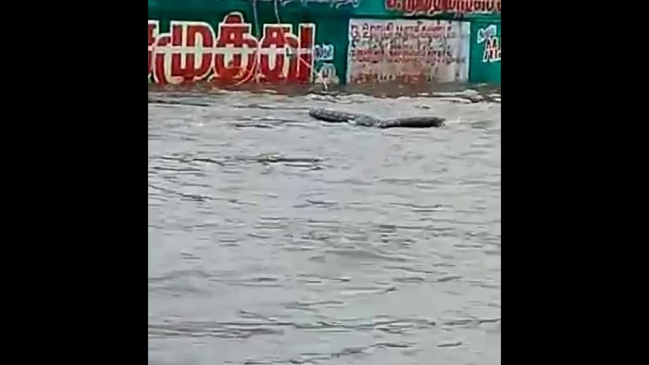 வீடு தேடி முதல்வர் வருவார்னு சொன்னாங்க… ஆனா முதலை தான் வருது… விடாமல் ரவுண்டு கட்டும் நெட்டிசன்ஸ்… வீடு தேடி முதல்வர் வருவார்னு சொன்னாங்க… ஆனா முதலை தான் வருது… விடாமல் ரவுண்டு கட்டும் நெட்டிசன்ஸ்…