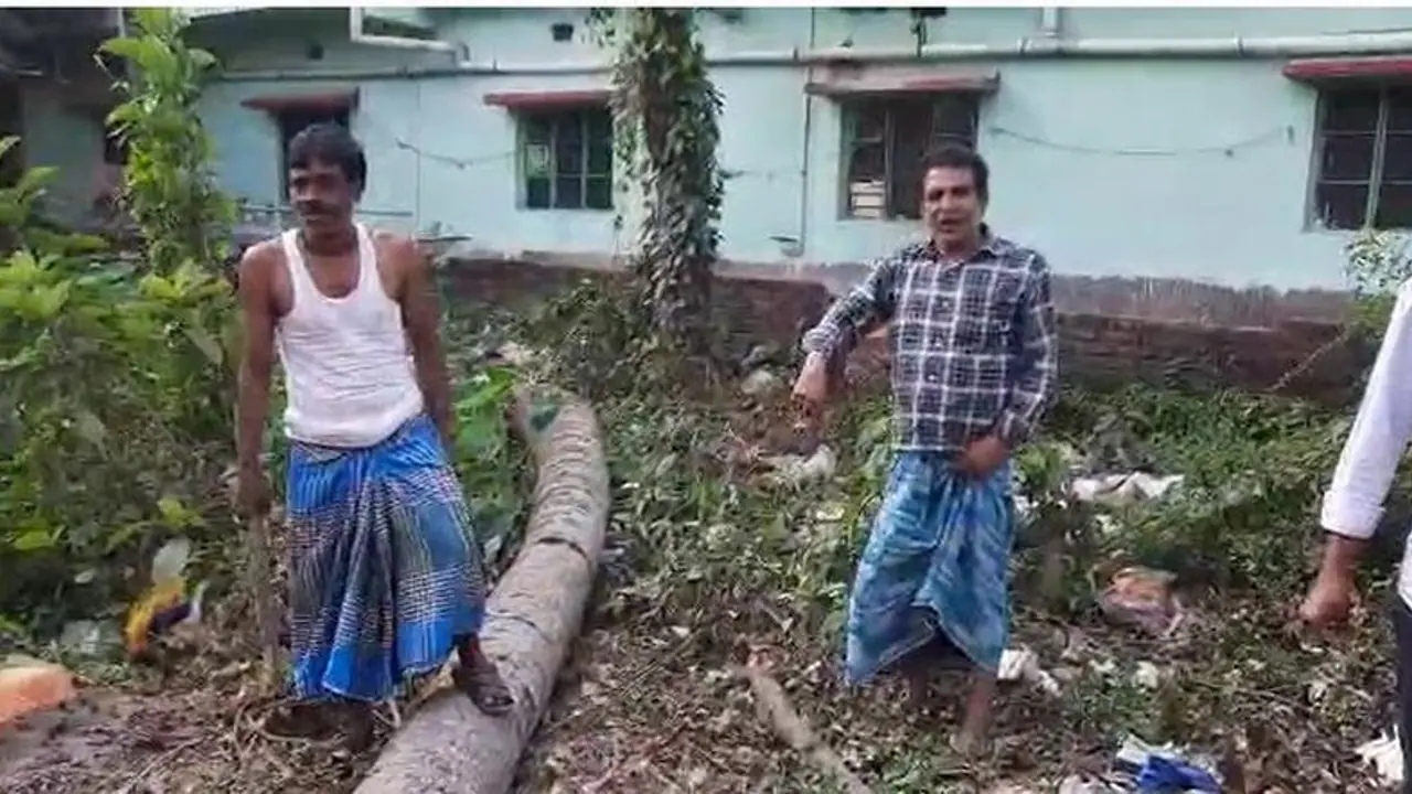 Boy Death: গাছ কাটার সময় দুর্ঘটনা, দড়ির টানে ১২ ফুট দূরে ছিটকে গিয়ে মৃত্যু নাবালকের Boy Death: গাছ কাটার সময় দুর্ঘটনা, দড়ির টানে ১২ ফুট দূরে ছিটকে গিয়ে মৃত্যু নাবালকের