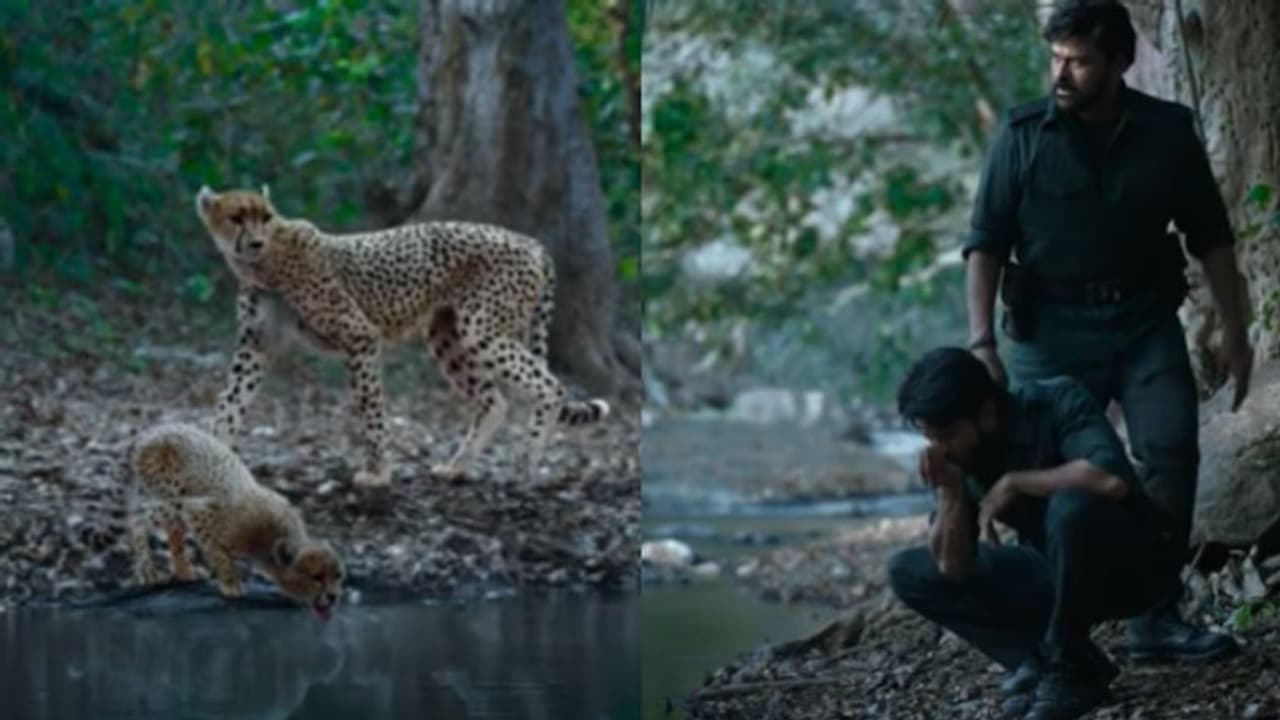 Acharya: അച്ഛനും മകനും ഒരേ ഫ്രെയ്മില്; ശ്രദ്ധേ നേടി ചിരഞ്ജീവിയുടെ ‘ആചാര്യ’ ടീസർ Acharya: അച്ഛനും മകനും ഒരേ ഫ്രെയ്മില്; ശ്രദ്ധേ നേടി ചിരഞ്ജീവിയുടെ ‘ആചാര്യ’ ടീസർ