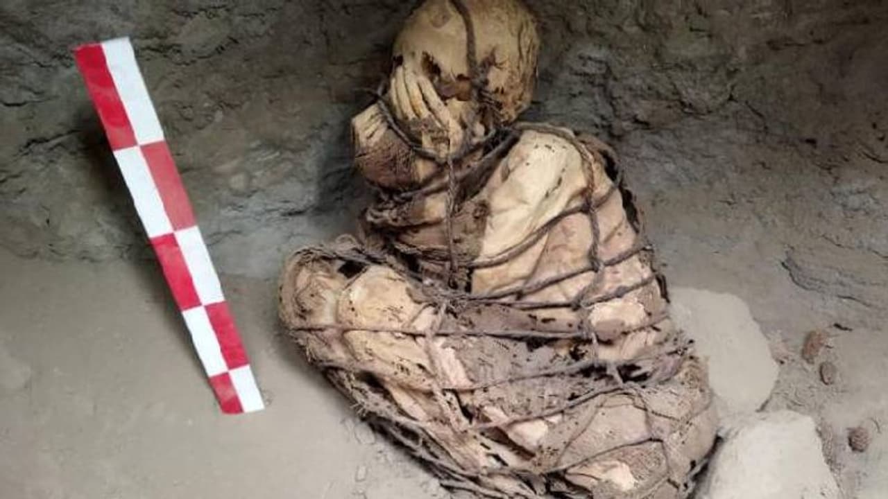 800 നും 1200 ഇടയില് വര്ഷം പഴക്കമുള്ള മമ്മി കണ്ടെത്തി, മുഴുവനായും കയറുകൊണ്ട് കെട്ടി, മുഖം മറച്ച നിലയിൽ 800 നും 1200 ഇടയില് വര്ഷം പഴക്കമുള്ള മമ്മി കണ്ടെത്തി, മുഴുവനായും കയറുകൊണ്ട് കെട്ടി, മുഖം മറച്ച നിലയിൽ