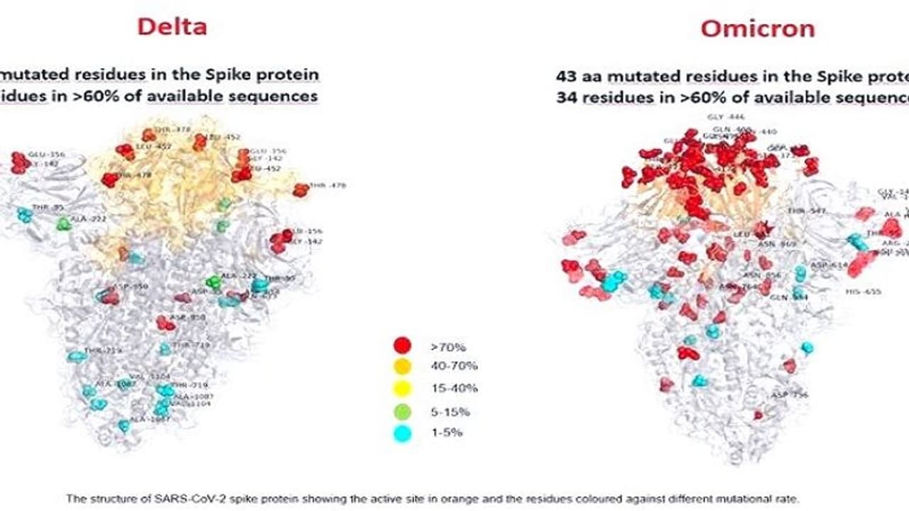 Omicron: వేగంగా దేశాలు దాటుతున్న వేరియంట్.. ఆపడం సాధ్యమేనా? ఏయే దేశాలకు చేరిందంటే? Omicron: వేగంగా దేశాలు దాటుతున్న వేరియంట్.. ఆపడం సాధ్యమేనా? ఏయే దేశాలకు చేరిందంటే?