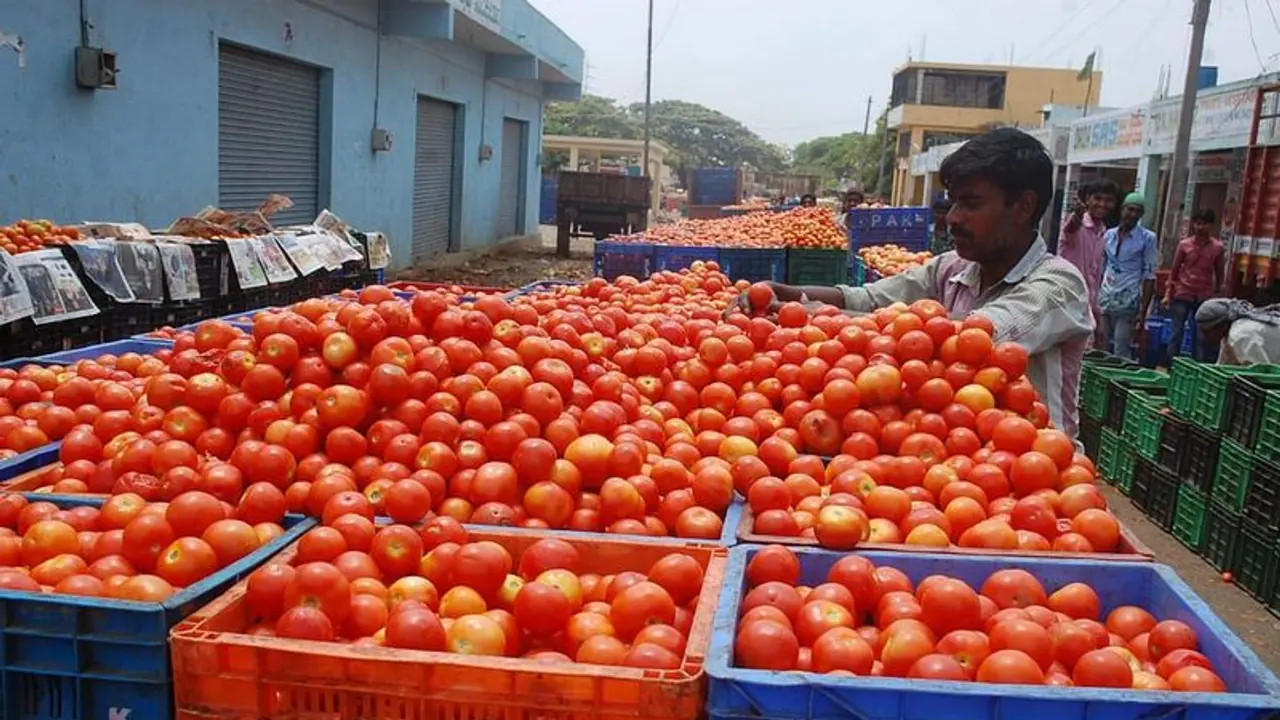 Tomato Price : കത്തിക്കയറി തക്കാളി; വിപണിയിൽ ഇരട്ടിവില 