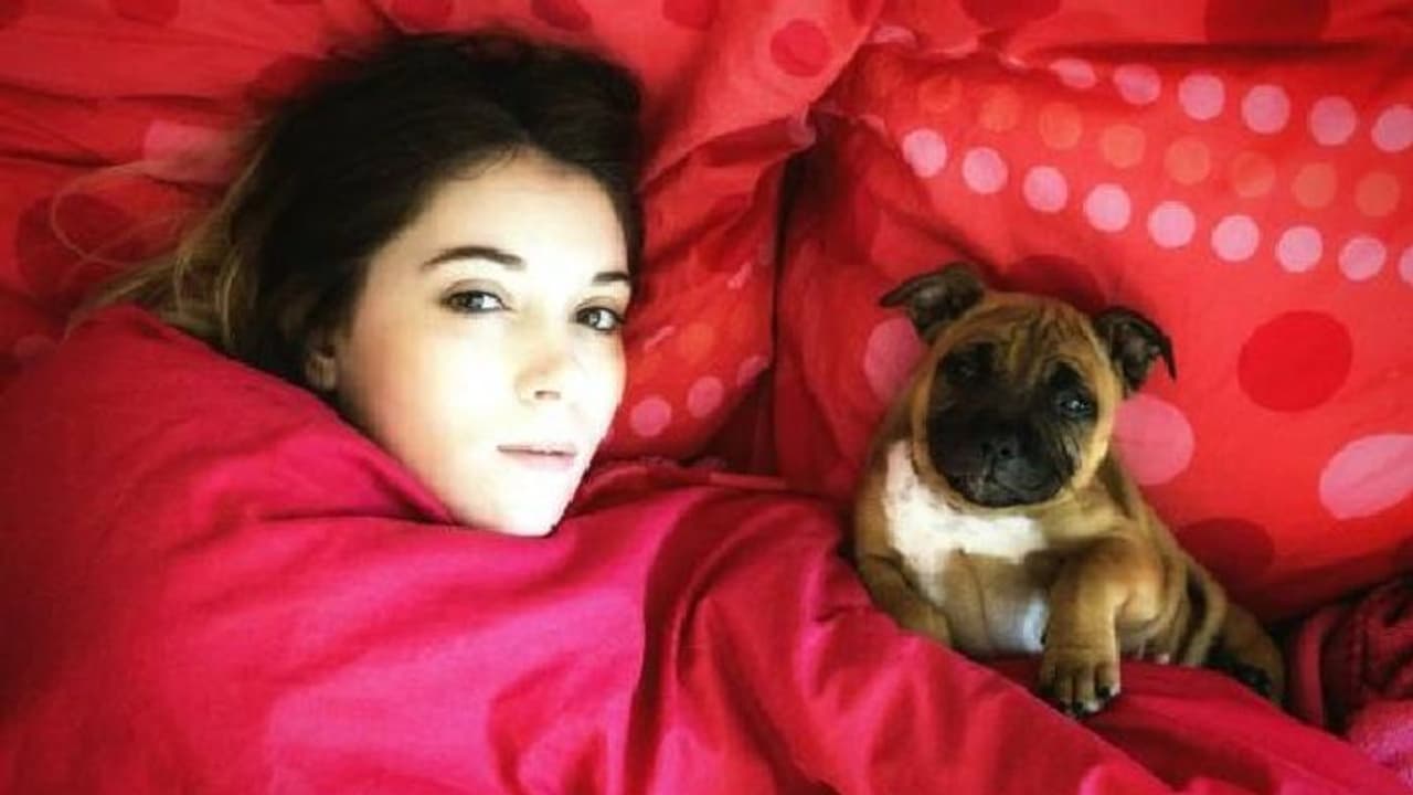 Quilt Color : লেপ কেন সাধারণত লাল রংয়ের কাপড় দিয়ে তৈরি হয়, রয়েছে মজাদার ইতিহাস Quilt Color : লেপ কেন সাধারণত লাল রংয়ের কাপড় দিয়ে তৈরি হয়, রয়েছে মজাদার ইতিহাস