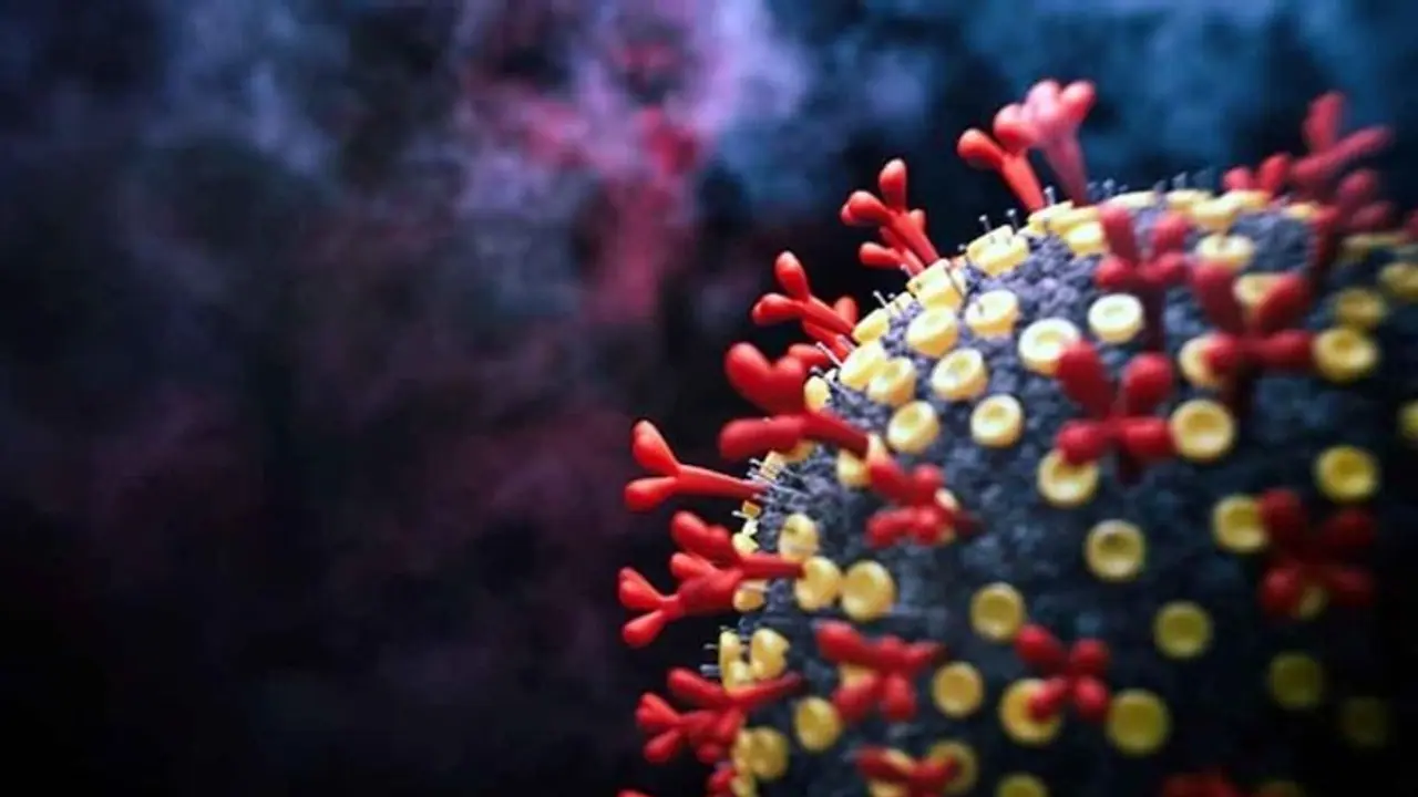 Omicron : രാജ്യത്ത് ഒമിക്രോൺ സാന്നിധ്യമില്ല, ആർടിപിസിആർ ആന്റിജൻ പരിശോധനയിൽ ഒമിക്രോൺ കണ്ടെത്താമെന്ന് കേന്ദ്രം Omicron : രാജ്യത്ത് ഒമിക്രോൺ സാന്നിധ്യമില്ല, ആർടിപിസിആർ ആന്റിജൻ പരിശോധനയിൽ ഒമിക്രോൺ കണ്ടെത്താമെന്ന് കേന്ദ്രം