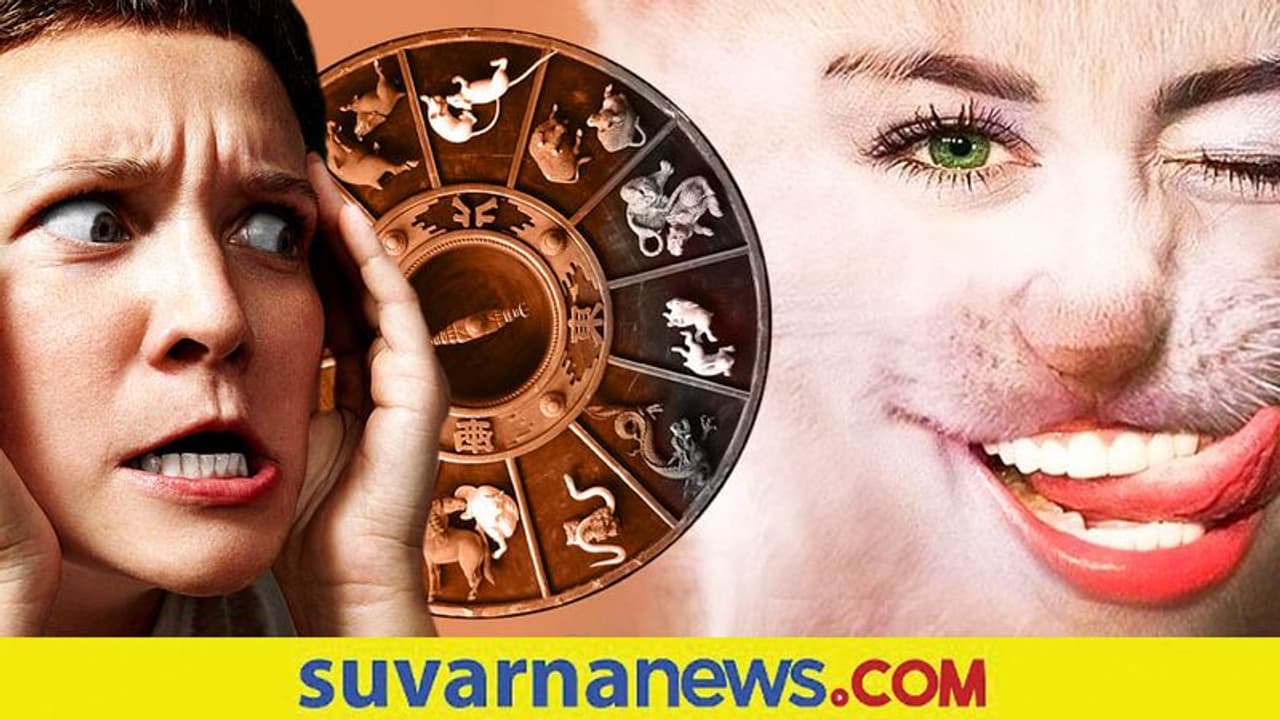 Zodiac Animal: ನಿಮ್ಮಲ್ಲಿ ಈ ಮೃಗದ ಅಂಶಗಳಿವೆಯಾ? ಚೆಕ್ ಮಾಡ್ಕೊಳ್ಳಿ