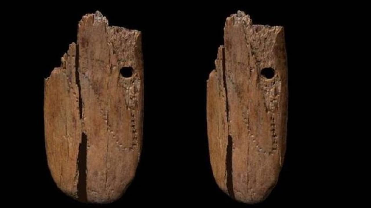 41500 Years Old Pendant : 41500 വർഷം പഴക്കമുള്ള അലങ്കാര വസ്തു? കണ്ടെത്തലിൽ അമ്പരന്ന് ഗവേഷകർ 41500 Years Old Pendant : 41500 വർഷം പഴക്കമുള്ള അലങ്കാര വസ്തു? കണ്ടെത്തലിൽ അമ്പരന്ന് ഗവേഷകർ