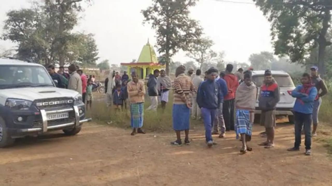 Chhattisgarh: दंतैल हाथियों ने महिला को पटक पटक कर मार डाला, तीन टुकड़े में मिला शव