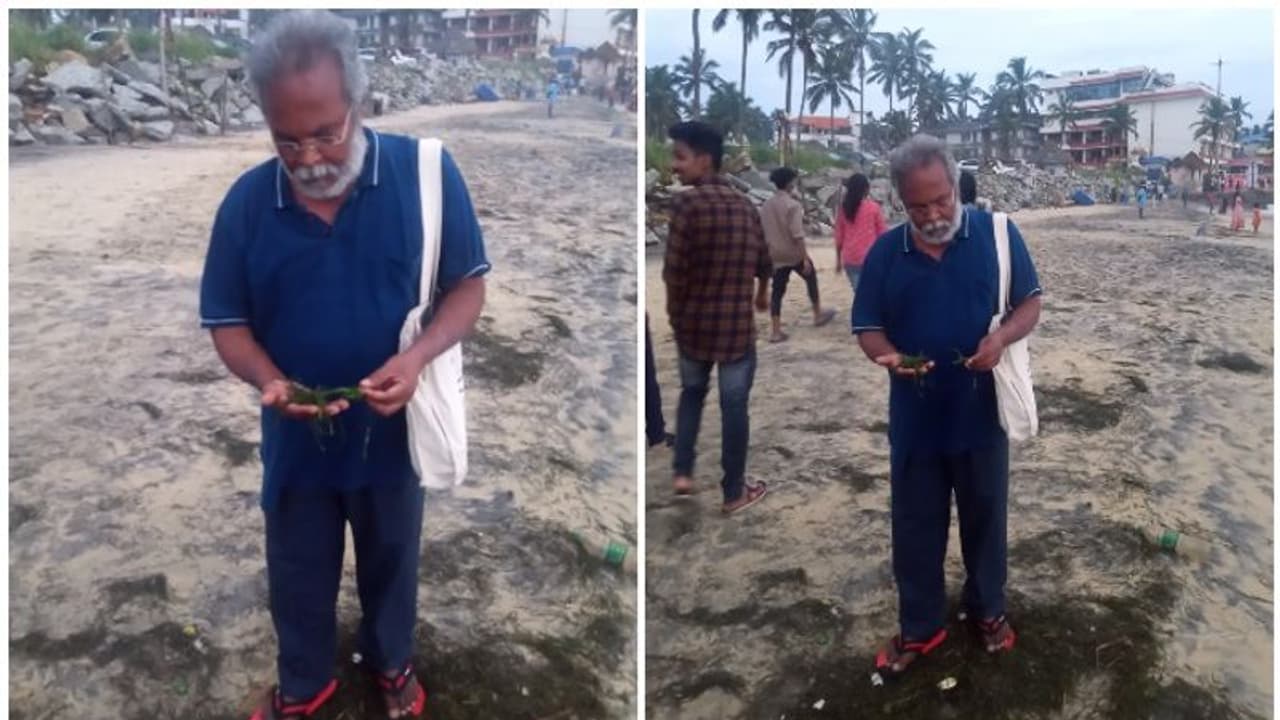 കോവളം കടൽത്തീരത്ത് അടിഞ്ഞത് വംശനാശ ഭീഷണി നേരിടുന്ന 'കടല്പുല്ല്' കോവളം കടൽത്തീരത്ത് അടിഞ്ഞത് വംശനാശ ഭീഷണി നേരിടുന്ന 'കടല്പുല്ല്'